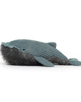 Wiley Whale