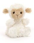 Yummy Lamb