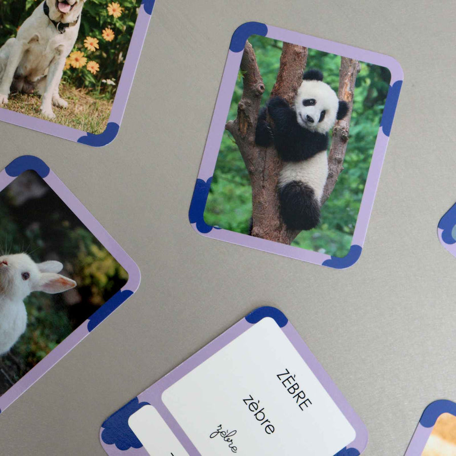 Cartes Flash - Matériel de vocabulaire, lecture et écriture - ANIMAUX
