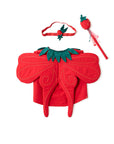 Fée des fraises DRESS-UP