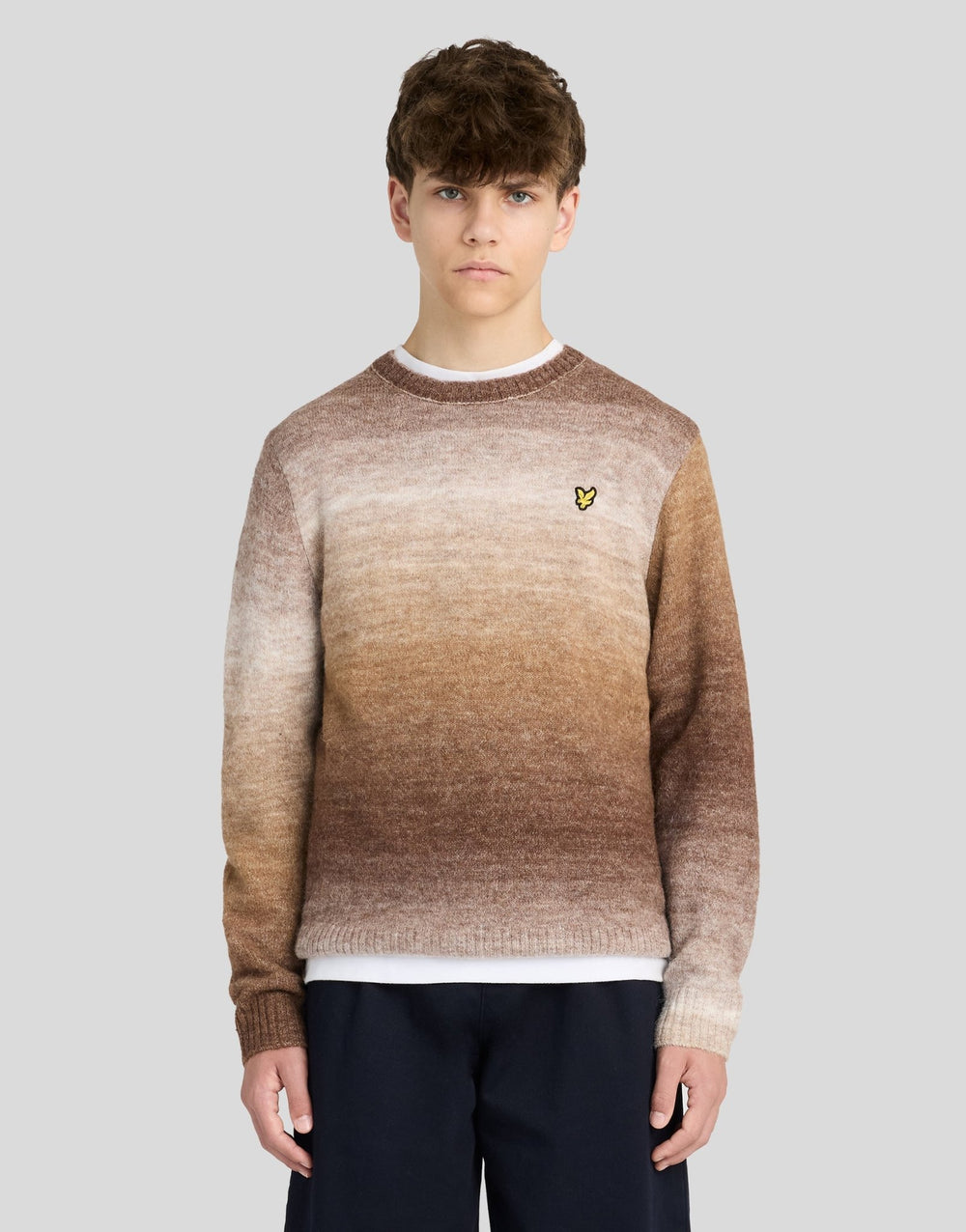 Ombre Crew Neck Jumper Ebony