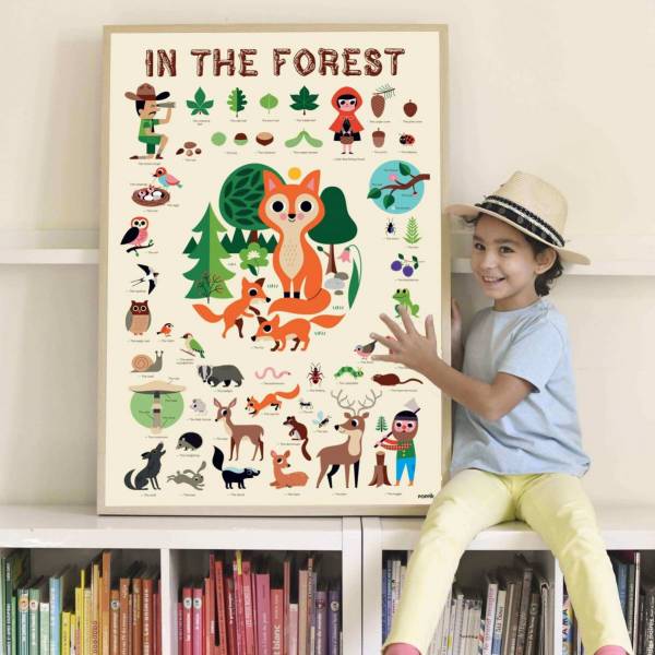 Discovery Forest
