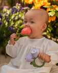 Theo the Tulip