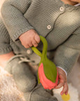 Theo the Tulip