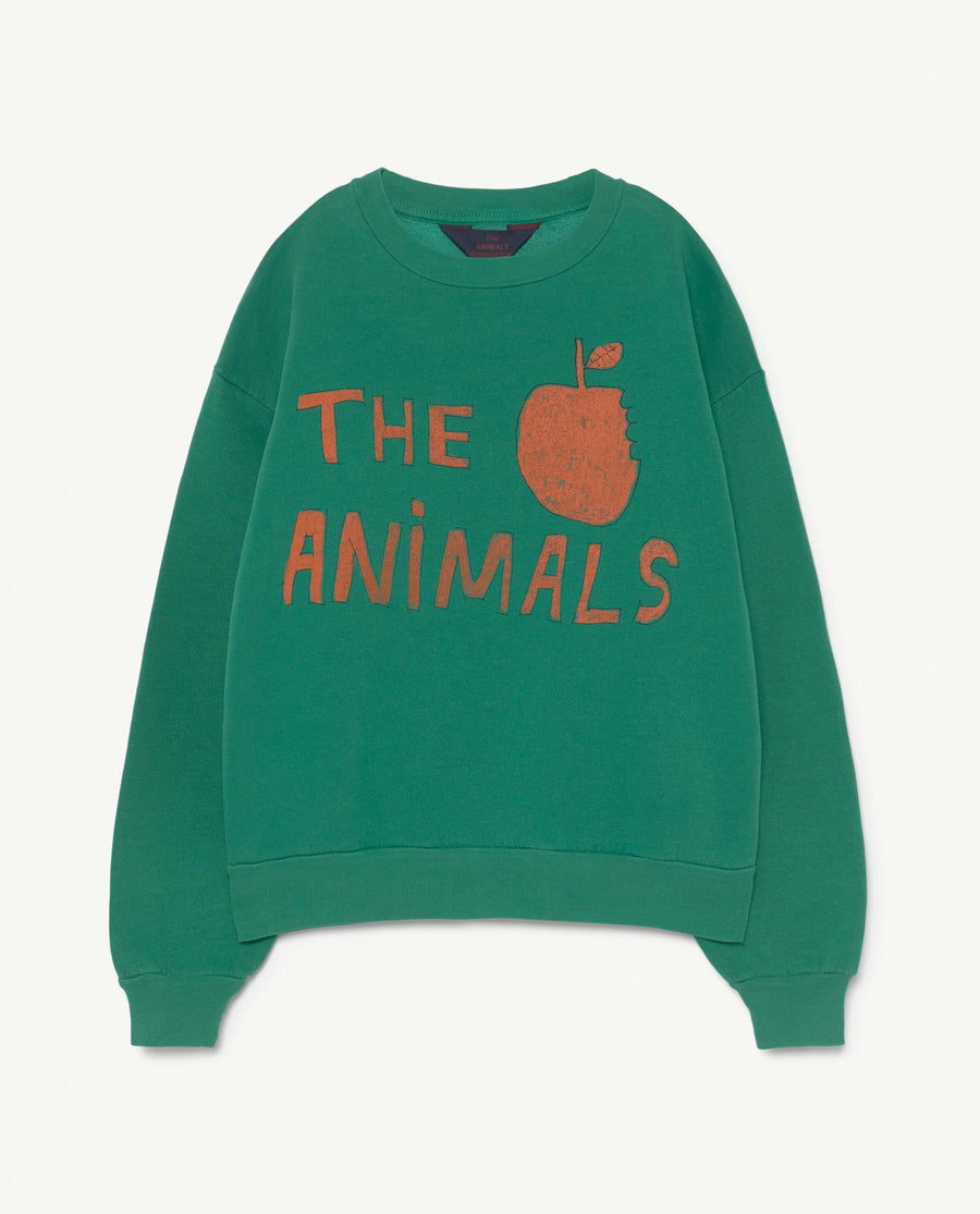 Bear Kids+ Sweatshirt Green The Animals