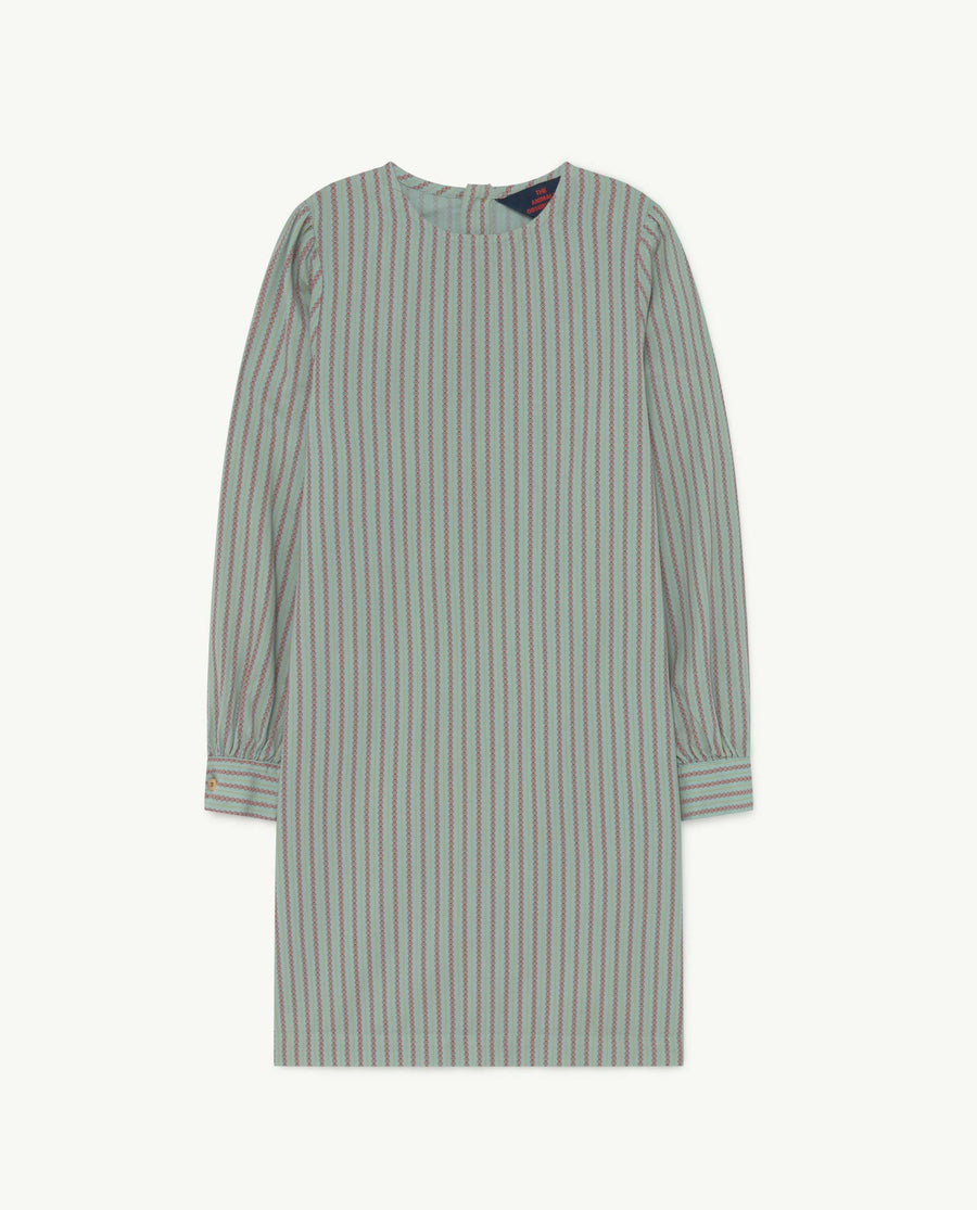 Tortoise Kids Dress Blue Stripes