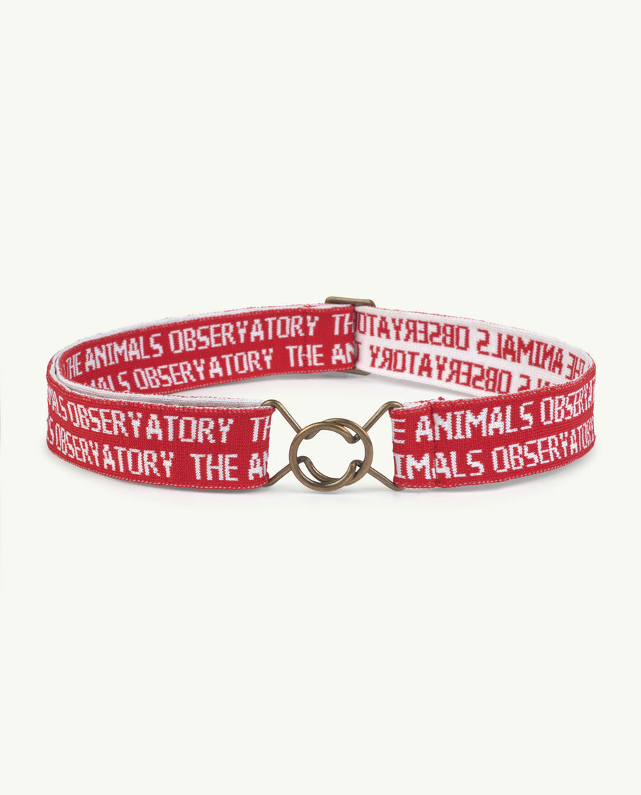 Lovebird Onesize Belt Red