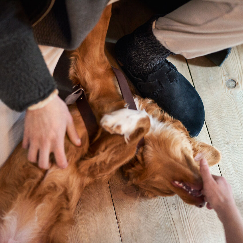 Boston Shearling Black