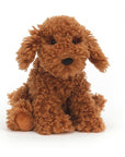 Cooper Doodle Dog