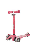 Mini Micro 3en1 Deluxe+ Rose