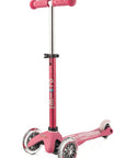 Mini Micro 3en1 Deluxe+ Rose