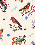 Landau en bois & osier Elliot « Little birds »