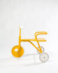 Foxrider Yellow Sun